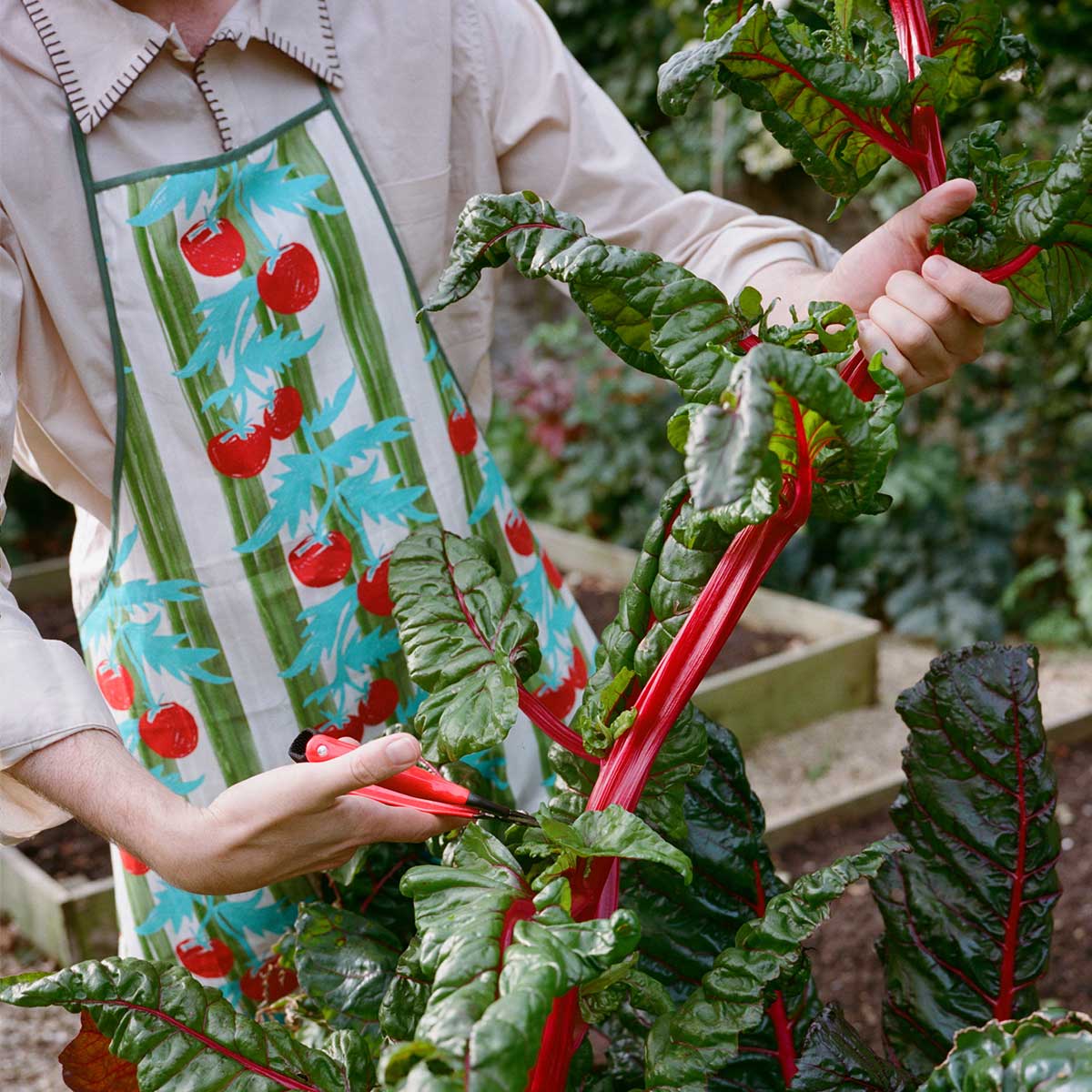 product-color-Apron and Bread Bag Kit