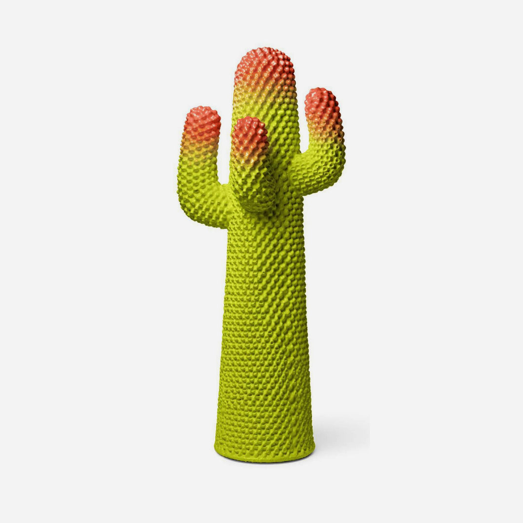Metacactus